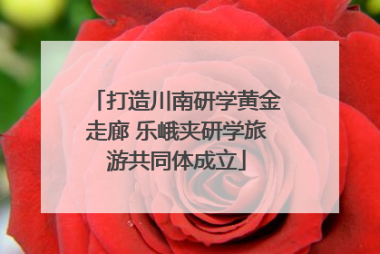 打造川南研学黄金走廊 乐峨夹研学旅游共同体成立