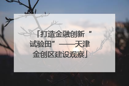 打造金融创新“试验田”——天津金创区建设观察
