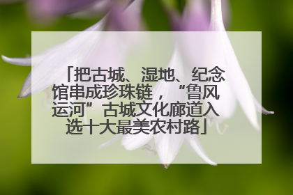 把古城、湿地、纪念馆串成珍珠链，“鲁风运河”古城文化廊道入选十大最美农村路