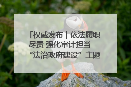 权威发布｜依法履职尽责 强化审计担当 “法治政府建设”主题系列新闻发布会市审计局专场召开