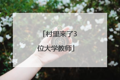 村里来了3位大学教师