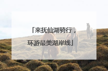 来抚仙湖骑行，环游最美湖岸线