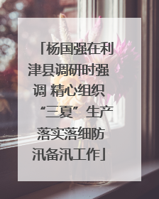 杨国强在利津县调研时强调 精心组织“三夏”生产 落实落细防汛备汛工作