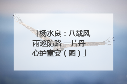杨水良：八载风雨巡防路 一片丹心护童安（图）