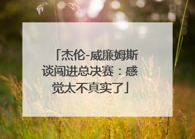 杰伦-威廉姆斯谈闯进总决赛：感觉太不真实了