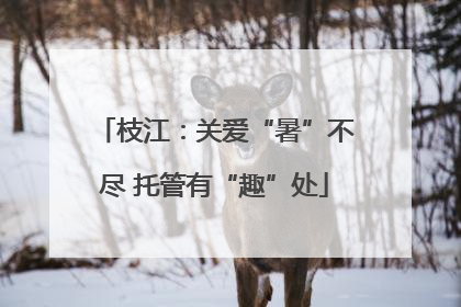 枝江：关爱“暑”不尽 托管有“趣”处