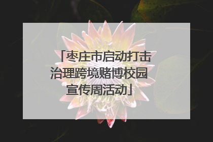 枣庄市启动打击治理跨境赌博校园宣传周活动