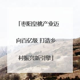 枣阳皇桃产业迈向百亿级 打造乡村振兴新引擎