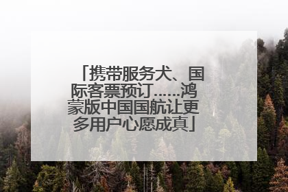 携带服务犬、国际客票预订……鸿蒙版中国国航让更多用户心愿成真
