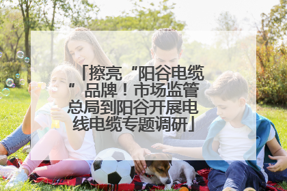 擦亮“阳谷电缆”品牌！市场监管总局到阳谷开展电线电缆专题调研