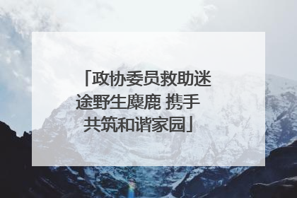 政协委员救助迷途野生麋鹿 携手共筑和谐家园