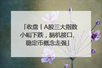 收盘丨A股三大指数小幅下跌，脑机接口、稳定币概念走强