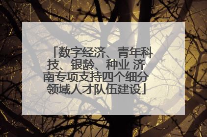 数字经济、青年科技、银龄、种业 济南专项支持四个细分领域人才队伍建设