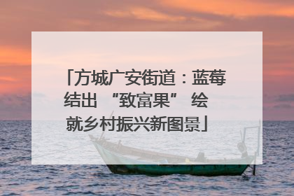 方城广安街道：蓝莓结出 “致富果” 绘就乡村振兴新图景