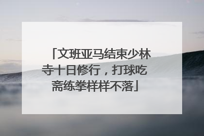 文班亚马结束少林寺十日修行，打球吃斋练拳样样不落