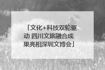 文化+科技双轮驱动 四川文旅融合成果亮相深圳文博会