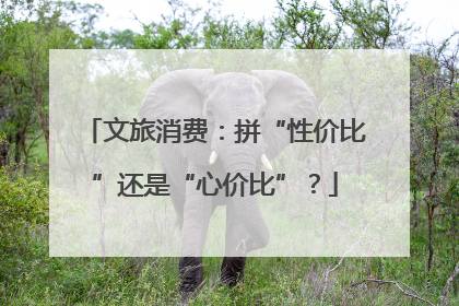 文旅消费：拼“性价比”还是“心价比”？