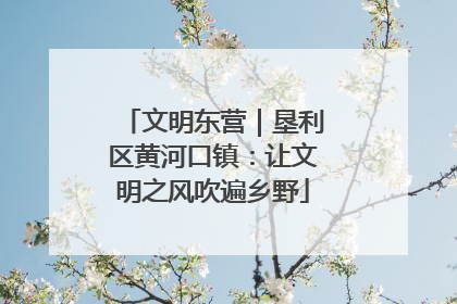 文明东营｜垦利区黄河口镇：让文明之风吹遍乡野