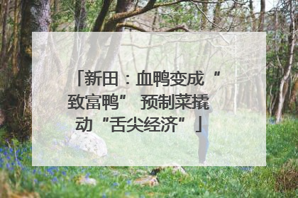 新田：血鸭变成“致富鸭” 预制菜撬动“舌尖经济”