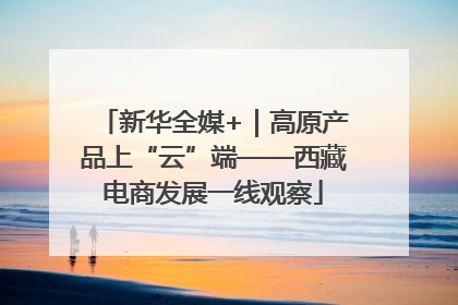 新华全媒+｜高原产品上“云”端——西藏电商发展一线观察