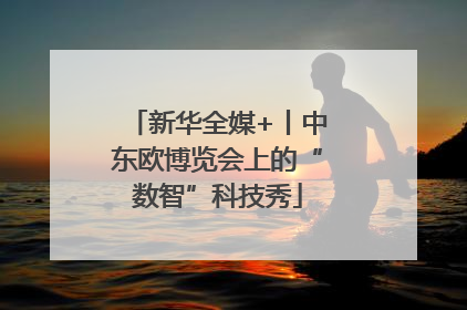 新华全媒+丨中东欧博览会上的“数智”科技秀