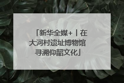 新华全媒+丨在大河村遗址博物馆寻溯仰韶文化
