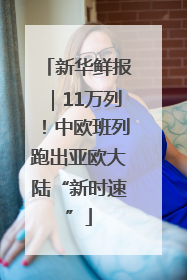 新华鲜报｜11万列！中欧班列跑出亚欧大陆“新时速”