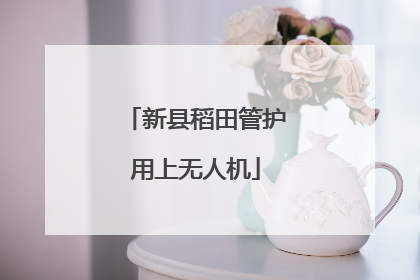 新县稻田管护用上无人机