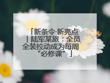 新条令·新亮点丨陆军某旅：全员全装拉动成为每周“必修课”