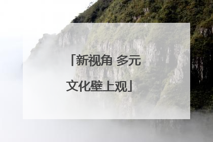 新视角 多元文化壁上观
