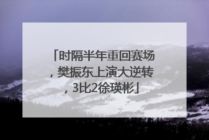 时隔半年重回赛场，樊振东上演大逆转，3比2徐瑛彬