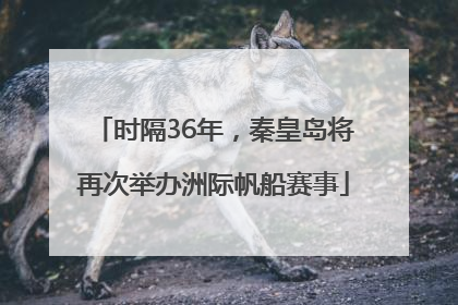 时隔36年，秦皇岛将再次举办洲际帆船赛事
