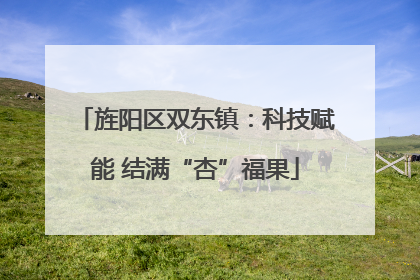 旌阳区双东镇：科技赋能 结满“杏”福果