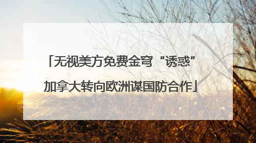 无视美方免费金穹“诱惑” 加拿大转向欧洲谋国防合作
