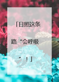 日照这条路“会呼吸”！