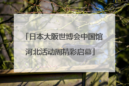 日本大阪世博会中国馆河北活动周精彩启幕