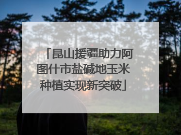 昆山援疆助力阿图什市盐碱地玉米种植实现新突破