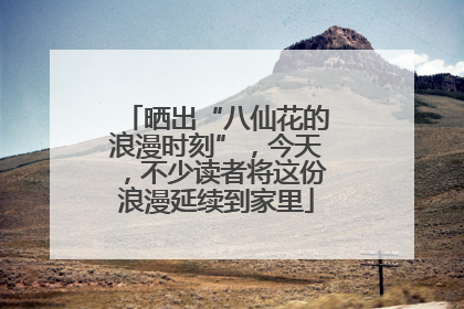 晒出“八仙花的浪漫时刻”，今天，不少读者将这份浪漫延续到家里
