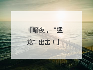暗夜，“猛龙”出击！