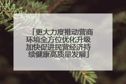 更大力度推动营商环境全方位优化升级加快促进民营经济持续健康高质量发展