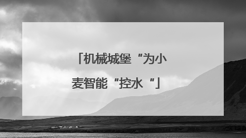 机械城堡“为小麦智能“控水“