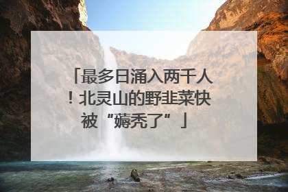 最多日涌入两千人！北灵山的野韭菜快被“薅秃了”