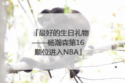 最好的生日礼物——杨瀚森第16顺位进入NBA