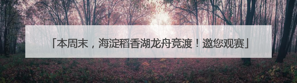 本周末，海淀稻香湖龙舟竞渡！邀您观赛