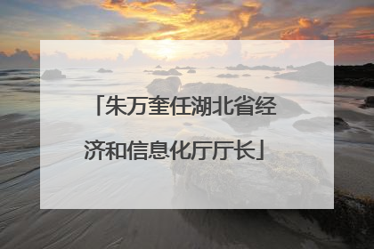 朱万奎任湖北省经济和信息化厅厅长