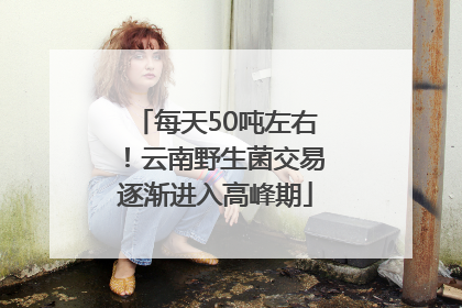 每天50吨左右！云南野生菌交易逐渐进入高峰期