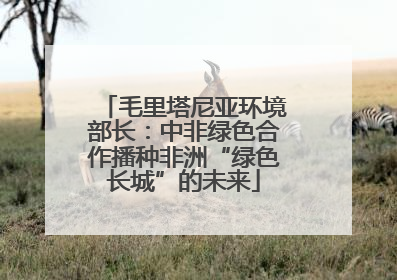 毛里塔尼亚环境部长：中非绿色合作播种非洲“绿色长城”的未来