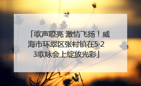 歌声嘹亮 激情飞扬！威海市环翠区张村镇在5·23歌咏会上绽放光彩
