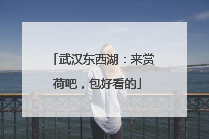 武汉东西湖：来赏荷吧，包好看的