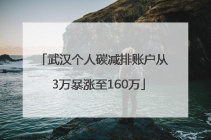 武汉个人碳减排账户从3万暴涨至160万